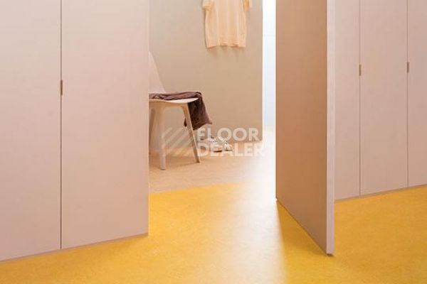 Линолеум Marmoleum Decibel on Order 325135 lemon zest фото 1 | FLOORDEALER